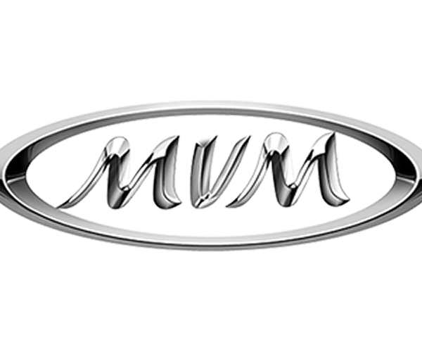 mvmLogo